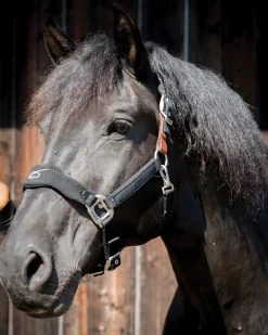 PARTRADE Halters|Lami-Cell Fleece-Lined Halter