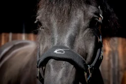 PARTRADE Halters|Lami-Cell Fleece-Lined Halter