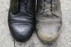 ANIMAL HEALTH INT Saddle Covers & Leather Care|Leather Therapy® Restorer & Conditioner™