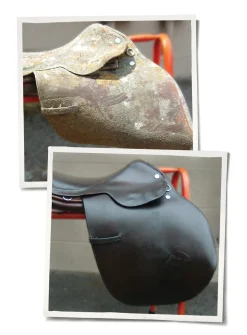 ANIMAL HEALTH INT Saddle Covers & Leather Care|Leather Therapy® Wash