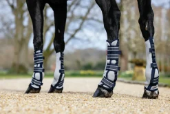 HORSE HEALTH TRADE Fly Control|Fly Boots|LeMieux® Arika Mesh Fly Boots