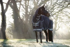 HORSE HEALTH TRADE Turnout Blankets|LeMieux® Arika Storm-Tek 350 Gram Turnout Blanket