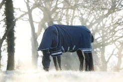 HORSE HEALTH TRADE Turnout Blankets|LeMieux® Arika Storm-Tek 350 Gram Turnout Blanket