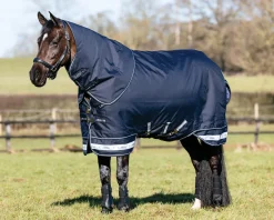 HORSE HEALTH TRADE Turnout Blankets|LeMieux® Arika Storm-Tek 100 Gram Turnout Blanket with Leg Straps