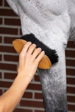 HORSE HEALTH TRADE Brushes & Hoof Picks|LeMieux® Artisan Flick Brush