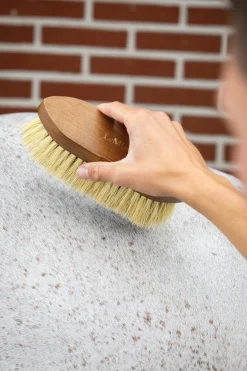 HORSE HEALTH TRADE Brushes & Hoof Picks|LeMieux® Artisan Soft Finishing Brush