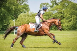 HORSE HEALTH TRADE Bell Boots|Bell Boots|LeMieux® Ballistic Overreach Boots