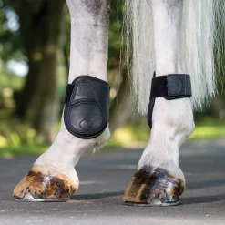 HORSE HEALTH TRADE Horse Boots|LeMieux® Capella Fetlock Boots