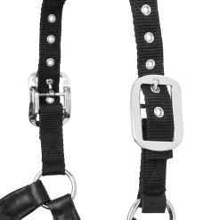 HORSE HEALTH TRADE Halters|LeMieux® Capella Halter