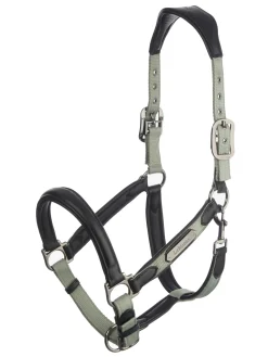 HORSE HEALTH TRADE Halters|LeMieux® Capella Headcollar