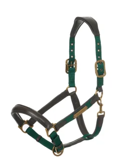 HORSE HEALTH TRADE Halters|LeMieux® Capella Headcollar