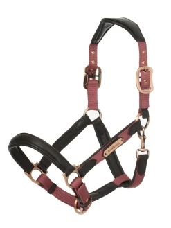 HORSE HEALTH TRADE Halters|LeMieux® Capella Headcollar