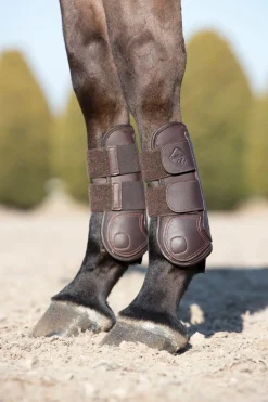 HORSE HEALTH TRADE Horse Boots|LeMieux® Capella Tendon Boots