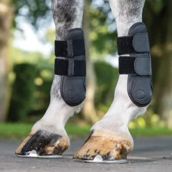 HORSE HEALTH TRADE Horse Boots|LeMieux® Capella Tendon Boots