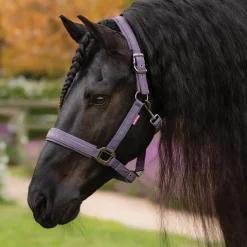 HORSE HEALTH TRADE Halters|LeMieux® Essence Halter