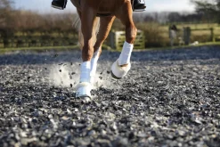 HORSE HEALTH TRADE Bell Boots|Bell Boots|LeMieux® Fleece WrapRound Overreach Boots