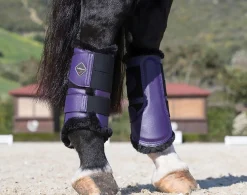 HORSE HEALTH TRADE Horse Boots|LeMieux® Fleece-Lined Brushing Boots