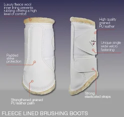 HORSE HEALTH TRADE Horse Boots|LeMieux® Fleece-Lined Brushing Boots