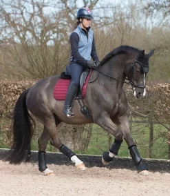 HORSE HEALTH TRADE Horse Boots|LeMieux® Fleece-Lined Brushing Boots