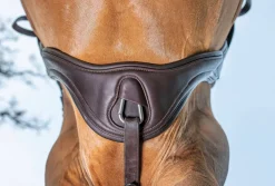 HORSE HEALTH TRADE Girths & Accessories|LeMieux® Gel-Tek Anatomic Jumping Girth