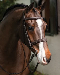 HORSE HEALTH TRADE English Bridles|LeMieux® Hunter-Stitched Bridle