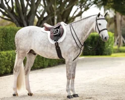 HORSE HEALTH TRADE English Bridles|LeMieux® Hunter-Stitched Bridle