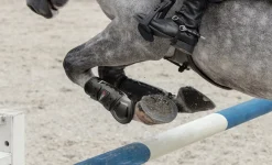 HORSE HEALTH TRADE Horse Boots|LeMieux® Impact Responsive Tendon Boots