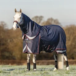 HORSE HEALTH TRADE Turnout Blankets|LeMieux® Kudos 200 Gram Turnout Blanket with Leg Straps