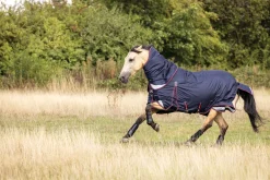HORSE HEALTH TRADE Turnout Blankets|LeMieux® Kudos 100 Gram Turnout Blanket