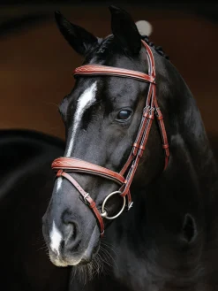HORSE HEALTH TRADE English Bridles|LeMieux® Kudos Competition Flash Bridle