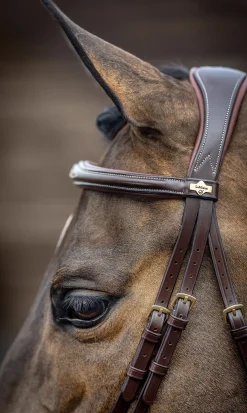 HORSE HEALTH TRADE English Bridles|LeMieux® Kudos Competition Flash Bridle