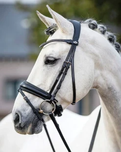 HORSE HEALTH TRADE English Bridles|LeMieux® Kudos Dressage Flash Bridle