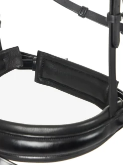 HORSE HEALTH TRADE English Bridles|LeMieux® Kudos Dressage Flash Bridle