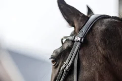 HORSE HEALTH TRADE English Bridles|LeMieux® Kudos Dressage Flash Bridle