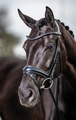 HORSE HEALTH TRADE English Bridles|LeMieux® Kudos Dressage Flash Bridle