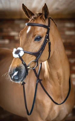 HORSE HEALTH TRADE English Bridles|LeMieux® Kudos Figure-8 Bridle
