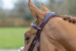 HORSE HEALTH TRADE English Bridles|LeMieux® Kudos Figure-8 Bridle