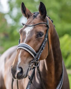HORSE HEALTH TRADE English Bridles|LeMieux® Kudos Patent Double Bridle
