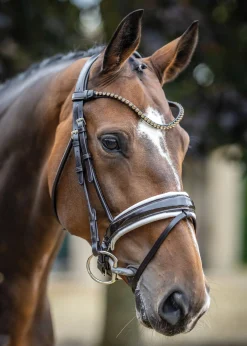 HORSE HEALTH TRADE English Bridles|LeMieux® Kudos Patent Leather Dressage Bridle