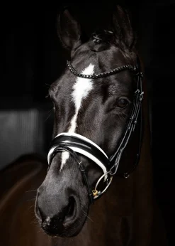 HORSE HEALTH TRADE English Bridles|LeMieux® Kudos Patent Leather Dressage Bridle