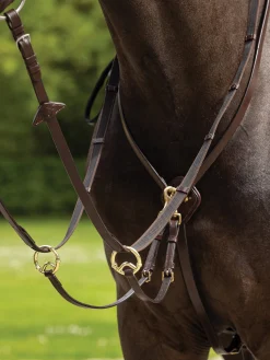 HORSE HEALTH TRADE Martingales & Breastplates|LeMieux® Kudos Running Martingale