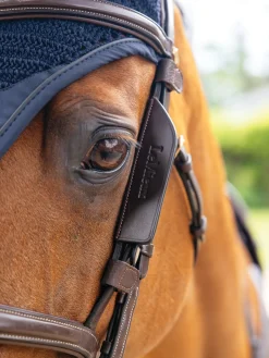 HORSE HEALTH TRADE Bridle Parts & Accessories|LeMieux® Leather Bridle Blinkers