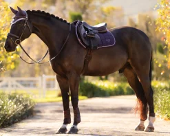 HORSE HEALTH TRADE Close Contact Saddle Pads|LeMieux® Loire Classic Close Contact Saddle Pad