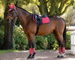 HORSE HEALTH TRADE Close Contact Saddle Pads|LeMieux® Loire Classic Close Contact Saddle Pad
