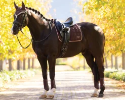 HORSE HEALTH TRADE Dressage Pads|Close Contact Saddle Pads|LeMieux® Loire Classic Dressage Saddle Pad