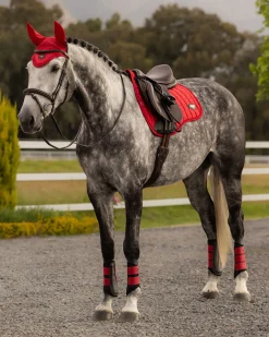 HORSE HEALTH TRADE Close Contact Saddle Pads|LEMIEUX® LOIRE GP SADDLE PAD