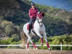 HORSE HEALTH TRADE Horse Leg Wraps|LeMieux® Loire Polo Bandages