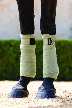 HORSE HEALTH TRADE Horse Leg Wraps|LeMieux® Loire Polo Wraps