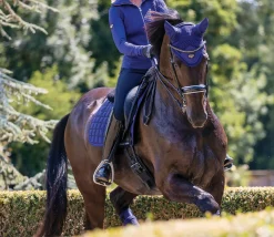 HORSE HEALTH TRADE Ear Bonnets|Ear Bonnets|LeMieux® Loire Satin Fly Bonnet