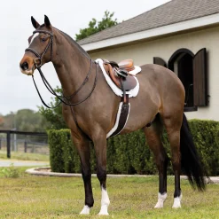 HORSE HEALTH TRADE Close Contact Saddle Pads|LeMieux® Merino+ Hunter Saddle Pad